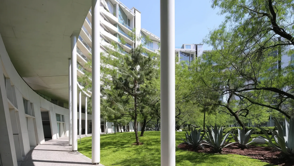 Construir el éxito antes de empezar: El impacto real de la planificación temprana